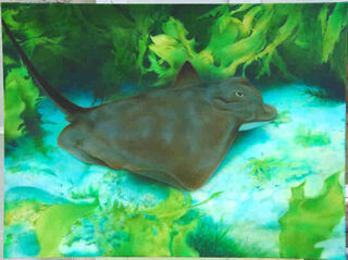 Airbrushed Fish Art Canvas Painting