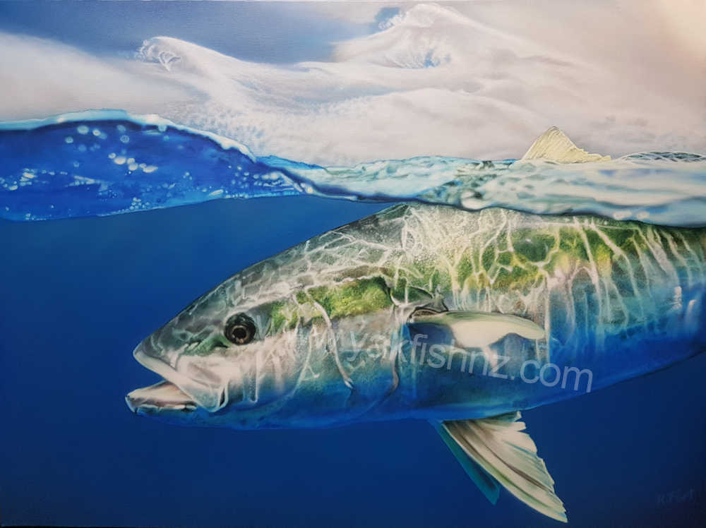 Yellowtail Kingfish Canvas Print 406mm x 305mm - 16
